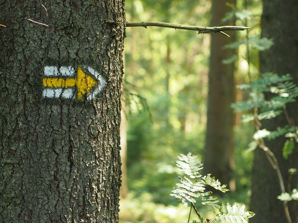 Bedřichov, Liberecký kraj
