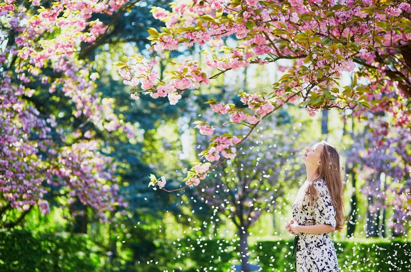 15 tipů na jarní procházku arboretem