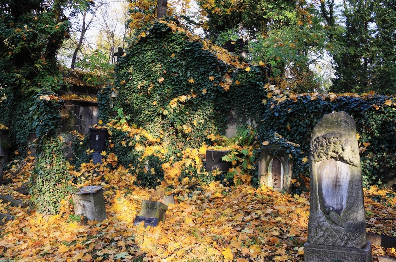 Naučná stezka Olšanské hřbitovy