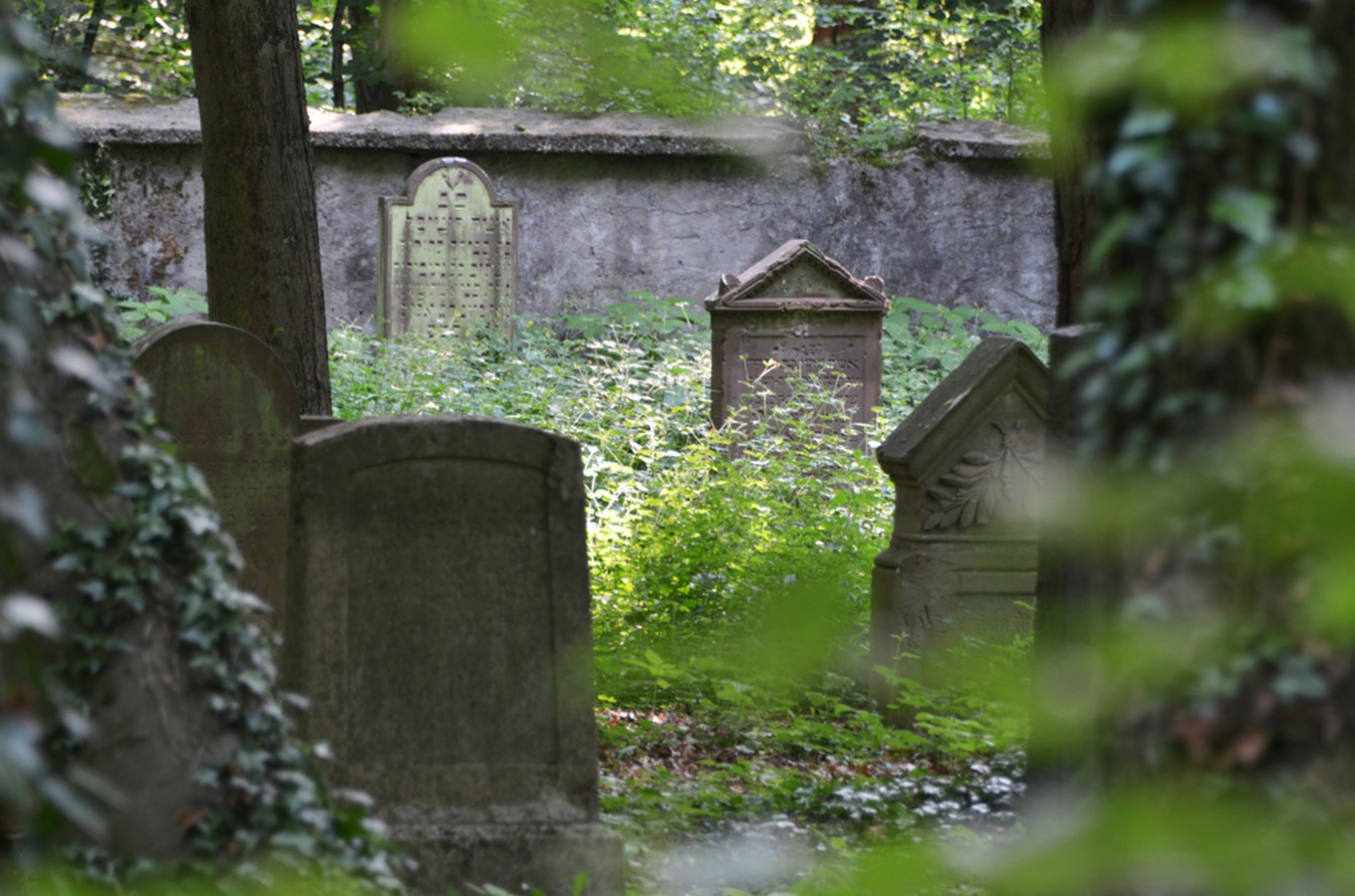 Židovský hřbitov ve Velké nad Veličkou
