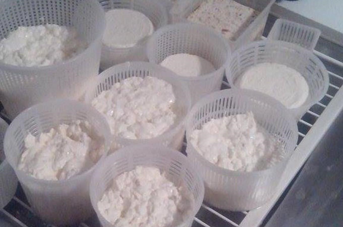 Kurzy domácí výroby sýrů
