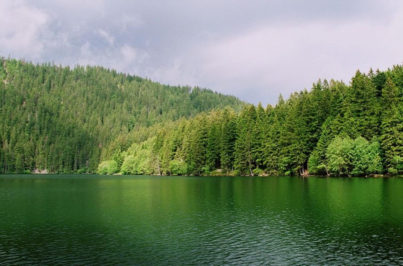 Kudy z nudy Černé jezero na Šumavě největší přírodní jezero České