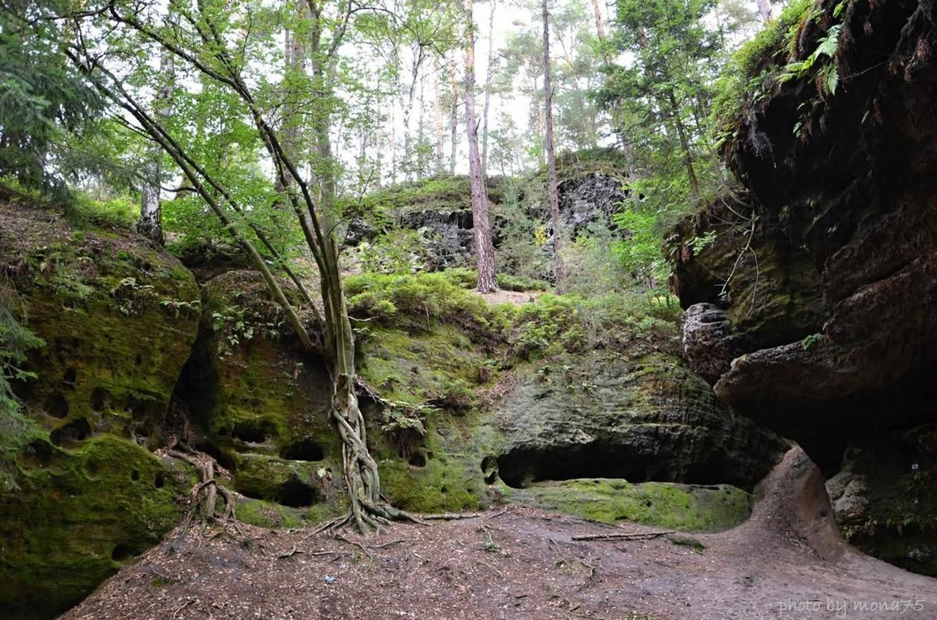 Braniborská jeskyně u Starých Splavů