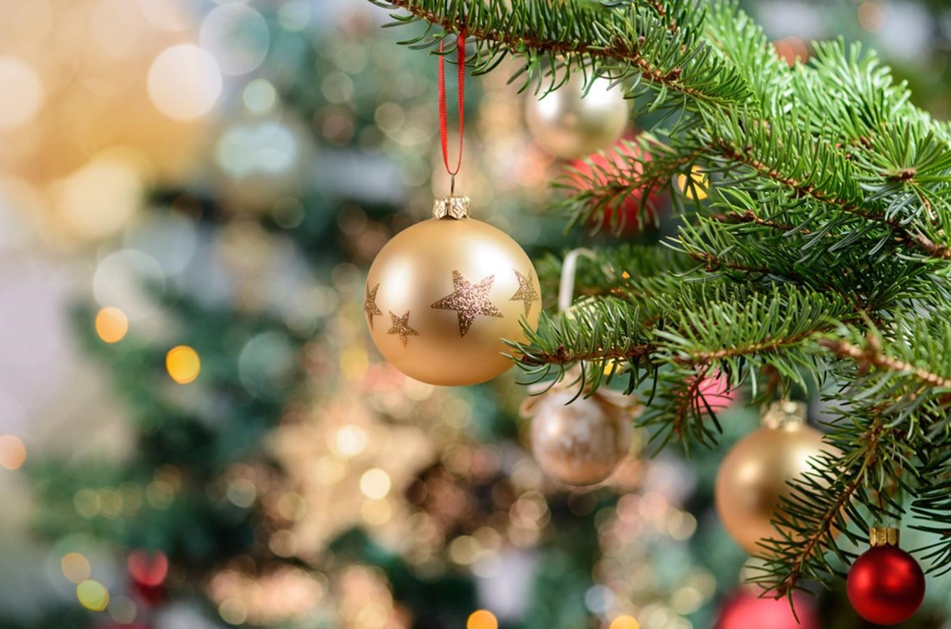 Sedm zajímavostí o vánočních stromech a stromečcích