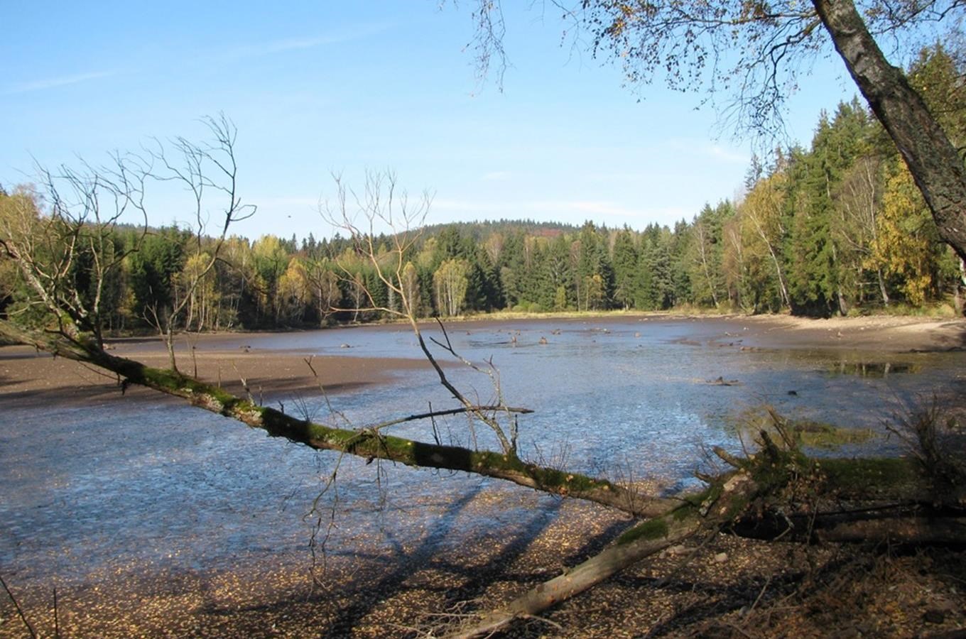 Václavský rybník v Českém lese