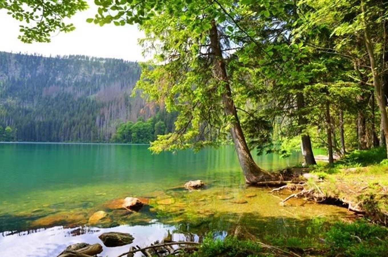 https://www.kudyznudy.cz/files/24/24712f56-4eb5-4438-88d9-5df4f18b01cb.jpg?v=20200826220612