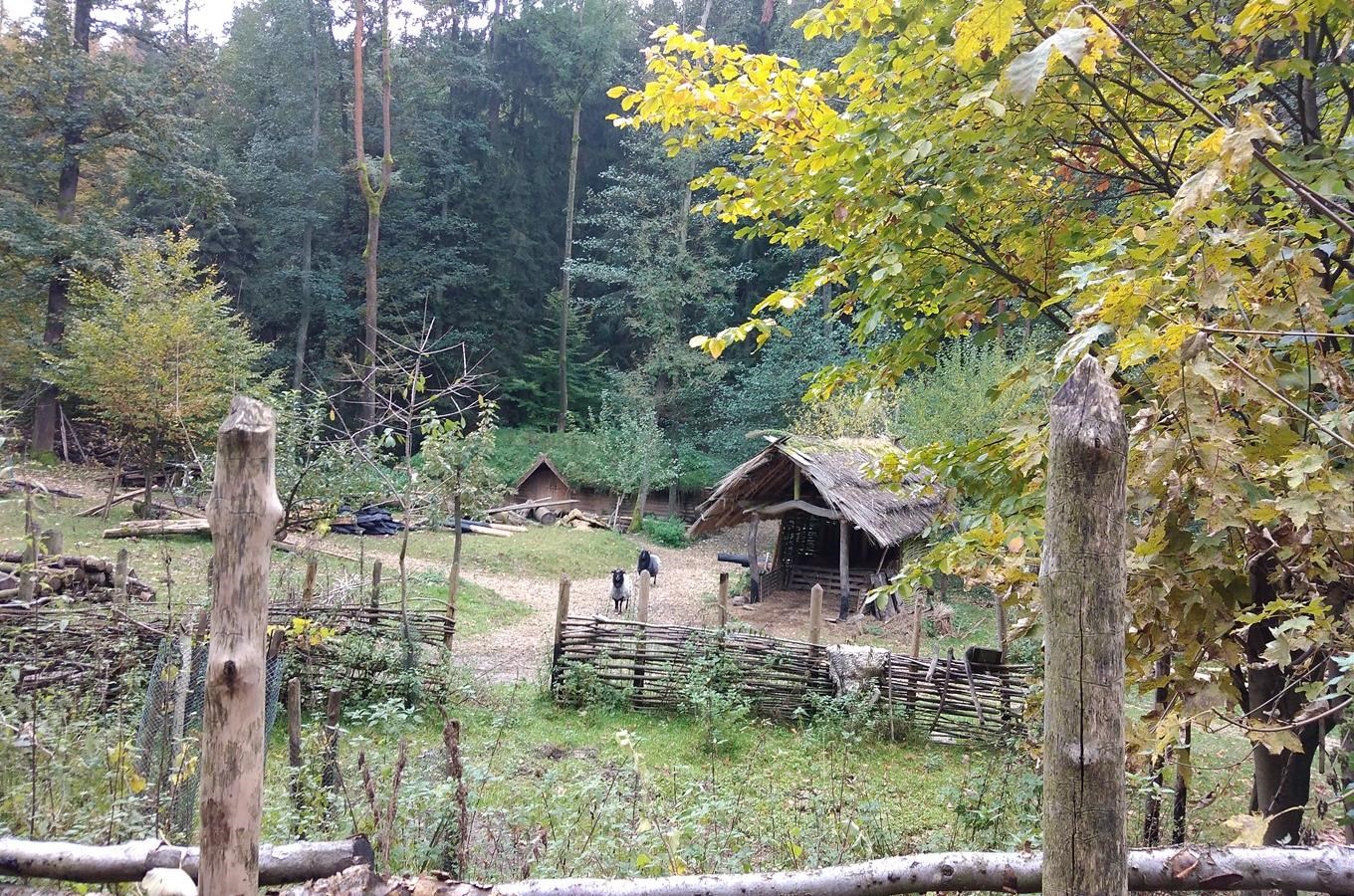 kudy-z-nudy-prav-k-osada-k-ivol-k