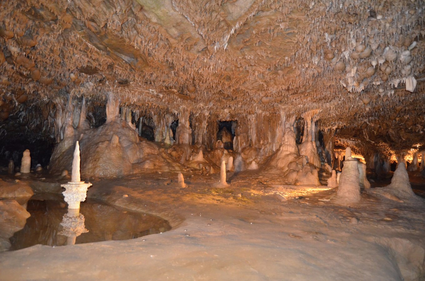 Sloupsko-šošůvské jeskyně – největší zpřístupněné jeskyně v ČR