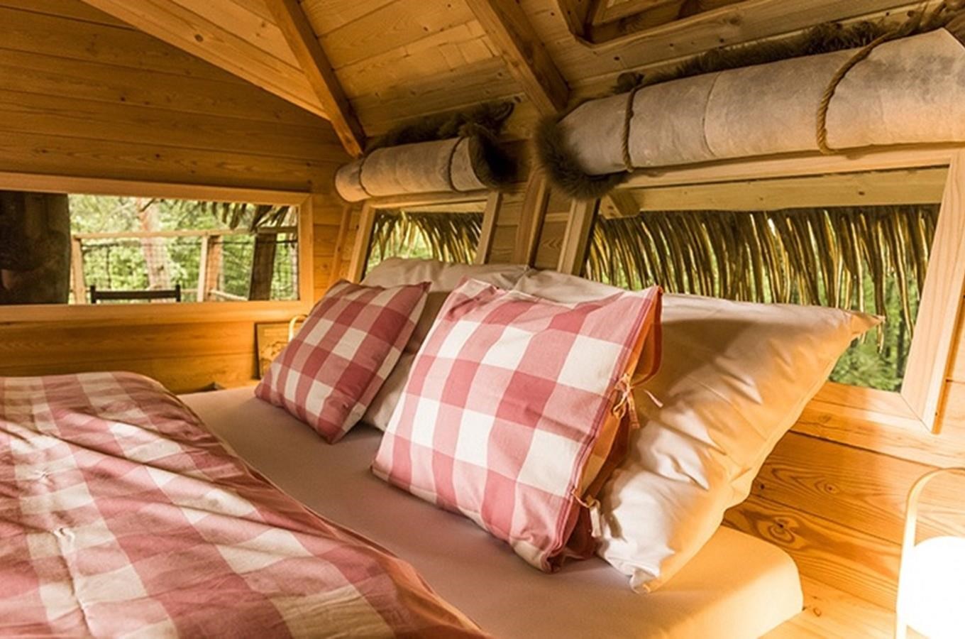 Kudy z nudy Stromhouse stromový domek v Posázaví