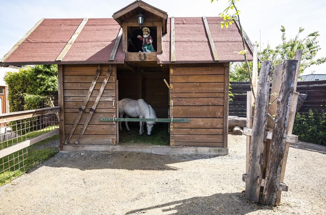 Jak se krmí zvířátka