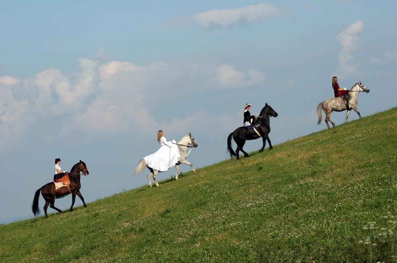 Koňský víkend u přehrady Orlík - pobyt na farmě Čapí letka 