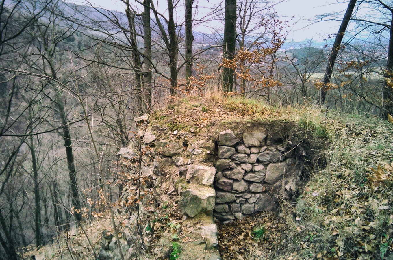 Zřícenina hradu Čertův hrádek