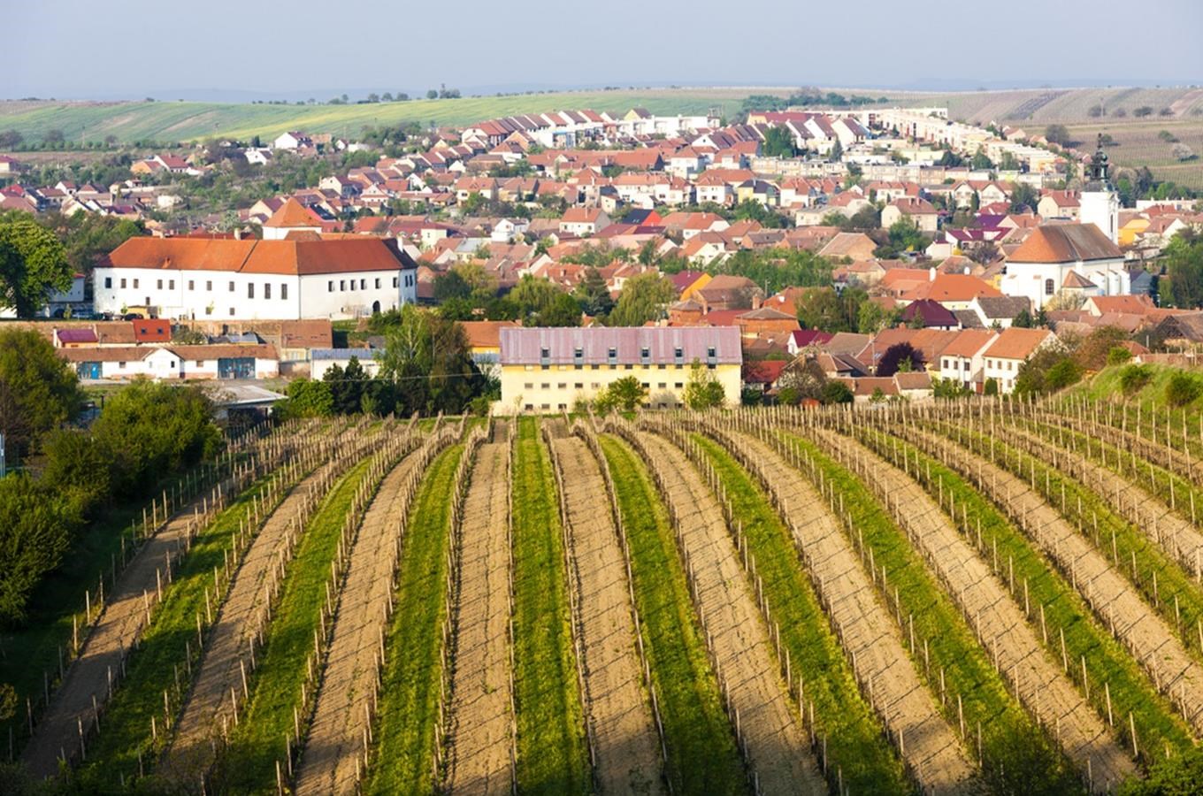 Templářské sklepy Čejkovice - víno plné emocí a hrdosti