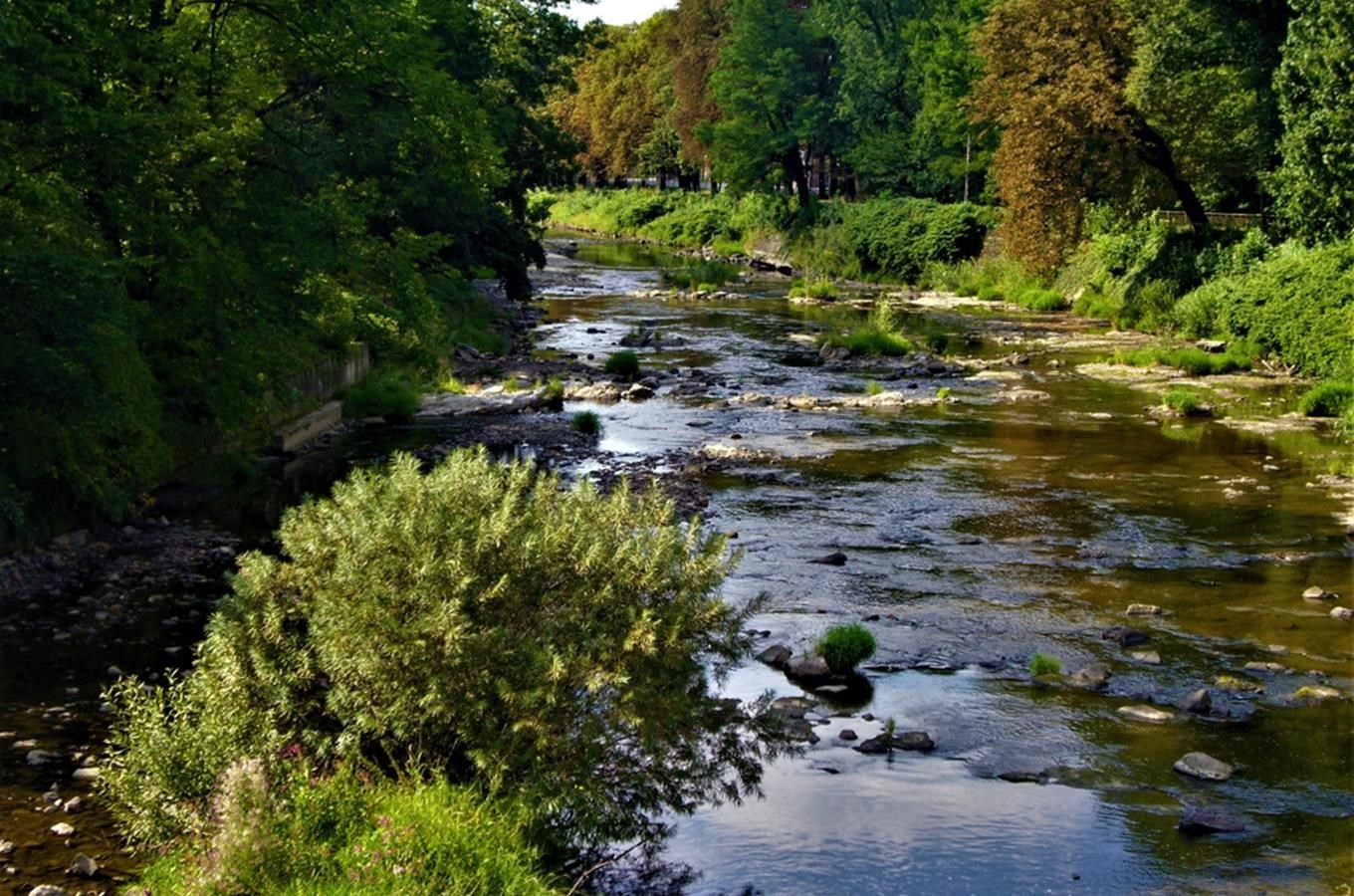 Řeka Olše – beskydský tok pramenící v Polsku