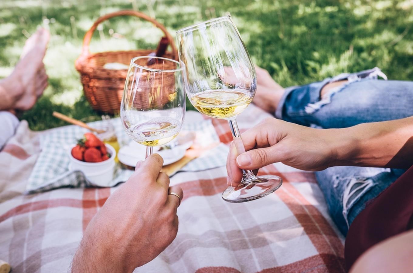 Piknik pod širým nebem s degustací vín ve Znojmě