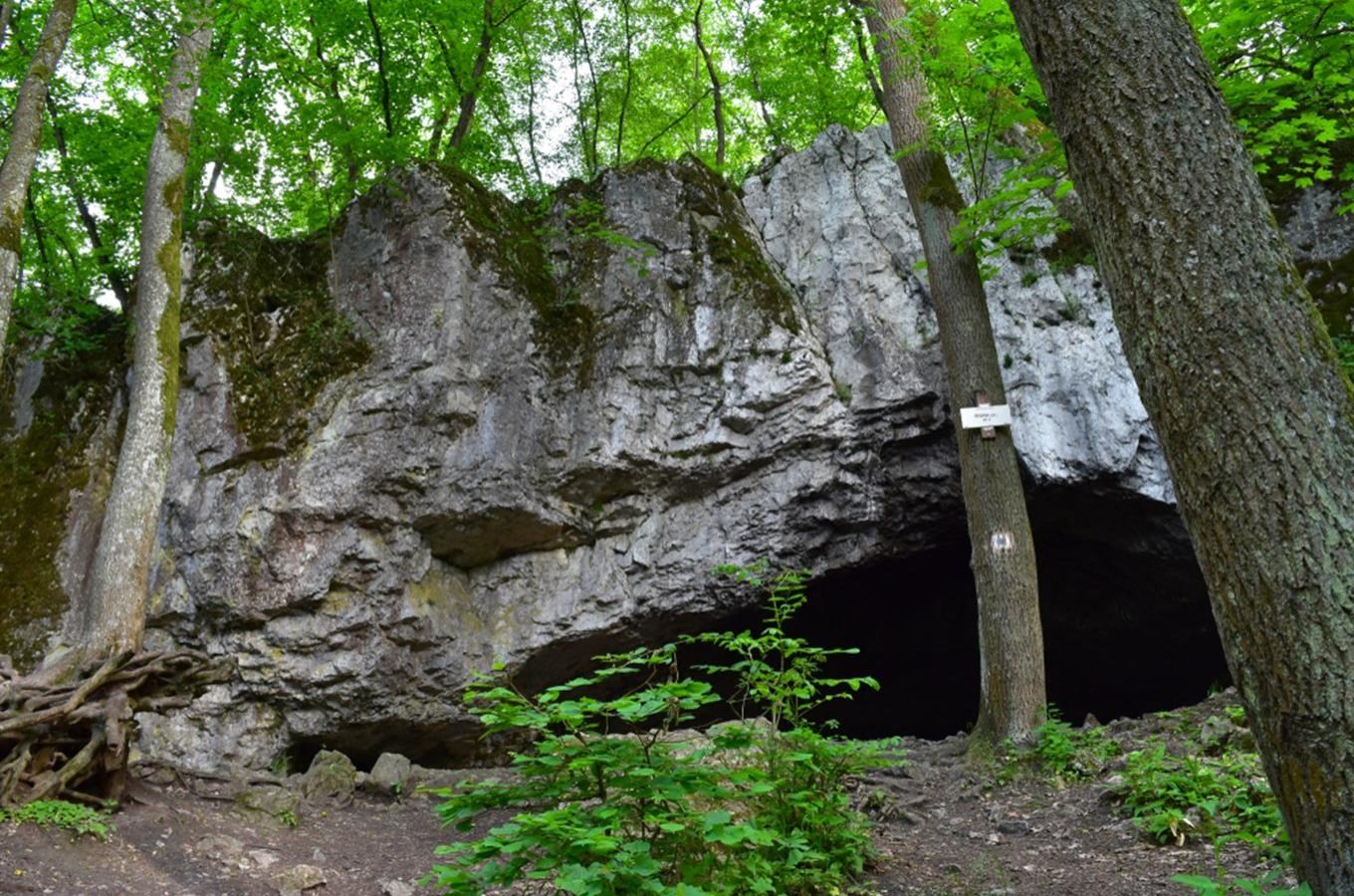 Jeskyně Pekárna – pravěké sídliště lovců sobů