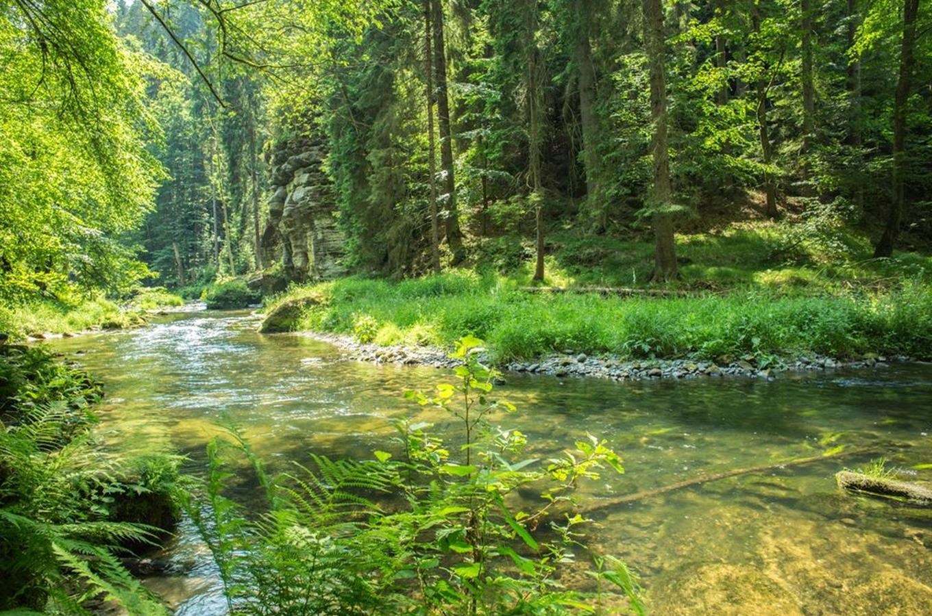 Kudy z nudy - Řeka hřenská Kamenice
