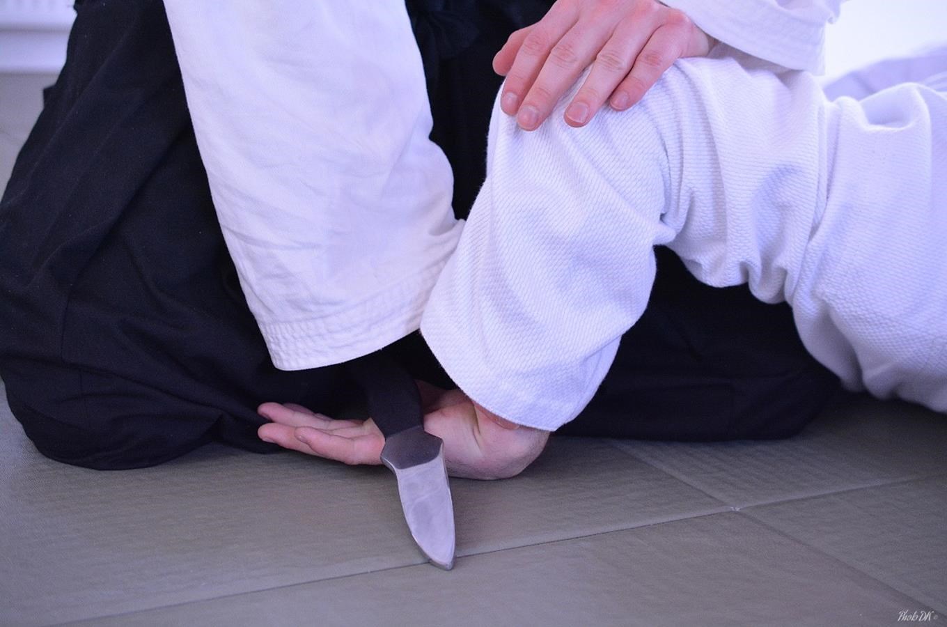 Cvičení bojového umění Aikido