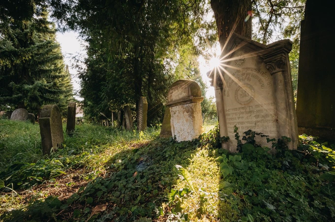 Komentovaná prohlídka židovského hřbitova v Dobrušce