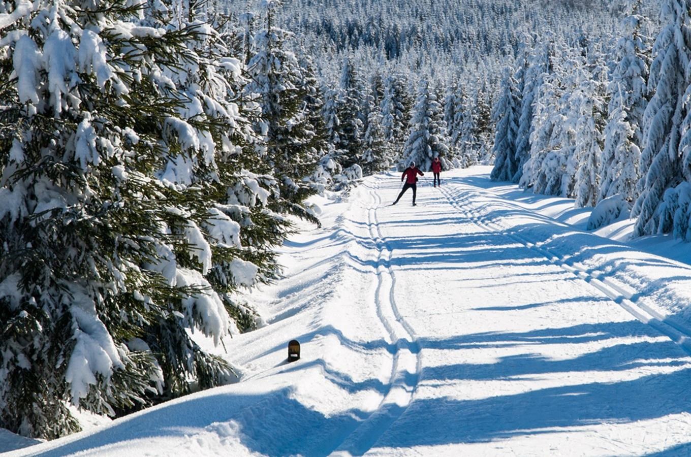 Na Vysokém hřebeni v Jizerkách si běžkaři pěkně zalyžují