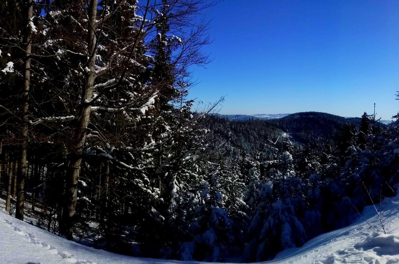 Skitour trasa Vraní cesta v Krušných horách
