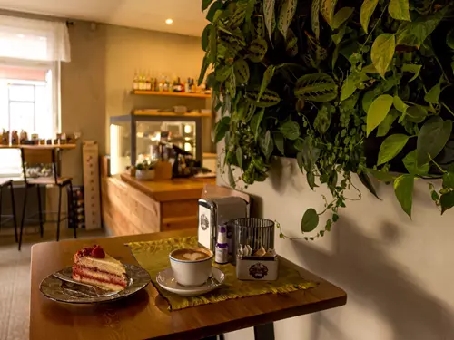 Red Piranha Café