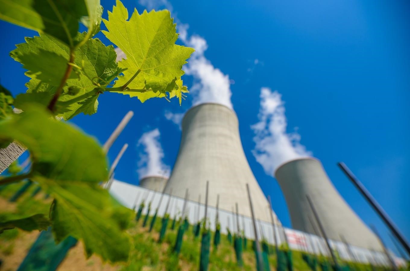 Jaderná vinice u elektrárny Dukovany