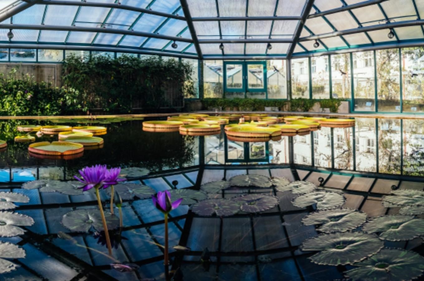 Botanická zahrada v Liberci - nejstarší botanická zahrada v České republice