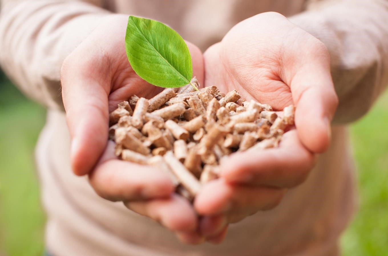 Biomasa - veletrh obnovitelných zdrojů energie v zemědělství a lesnictví