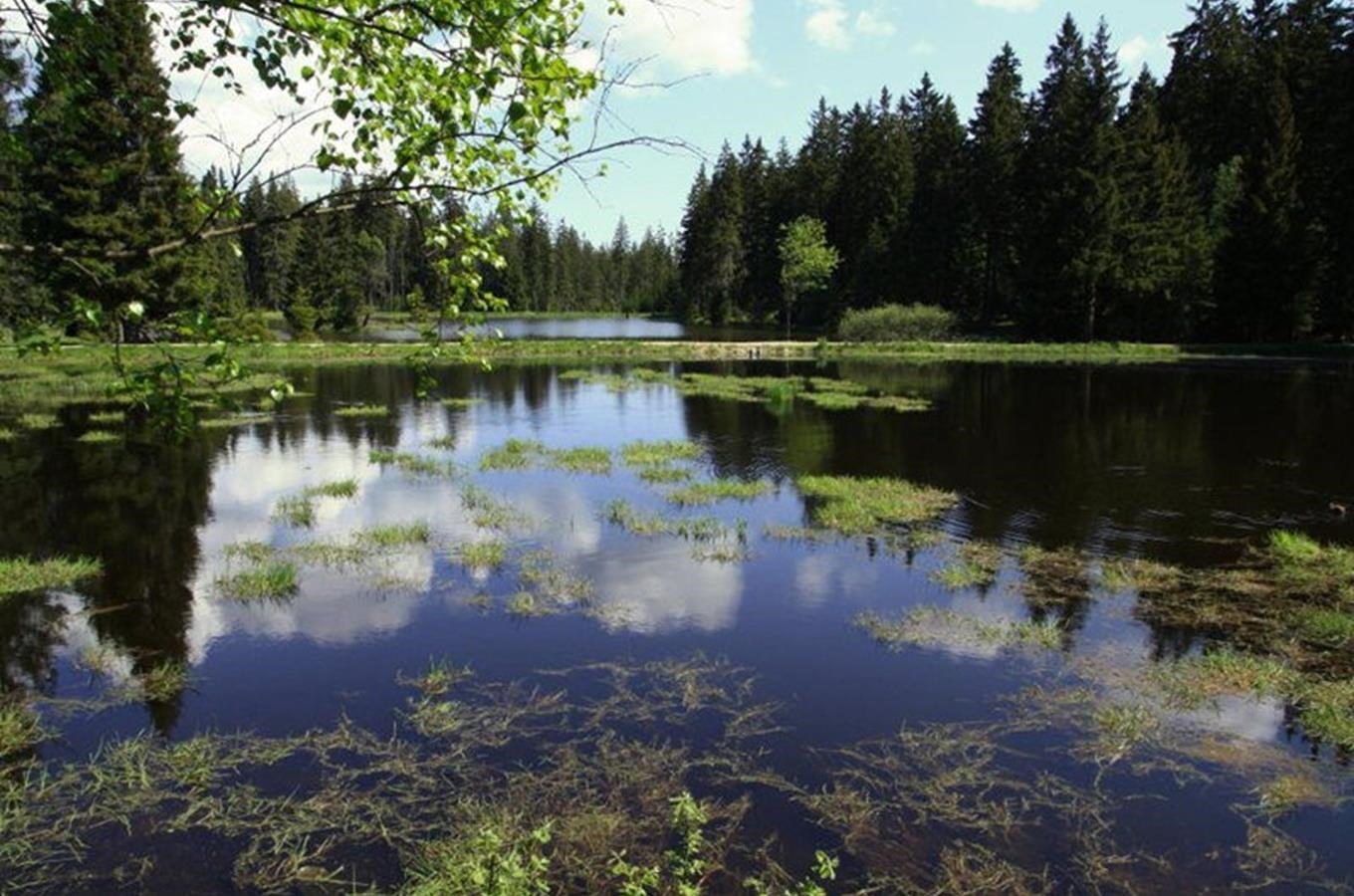 Dům přírody na Kladské – informační brána do Slavkovského lesa