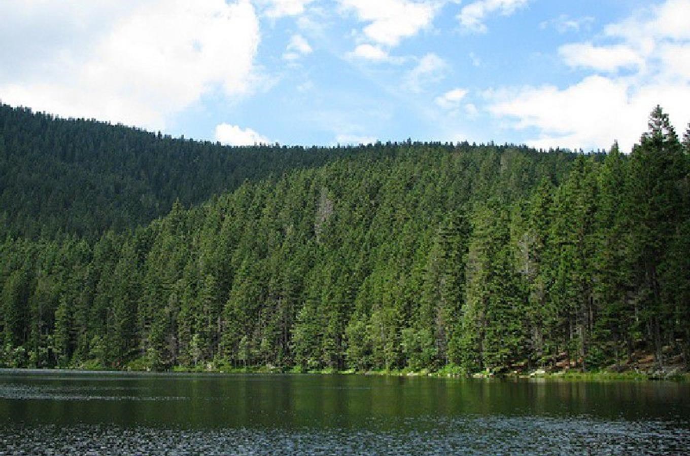 Čertovo jezero - jediné šumavské jezero náležící k povodí Dunaje