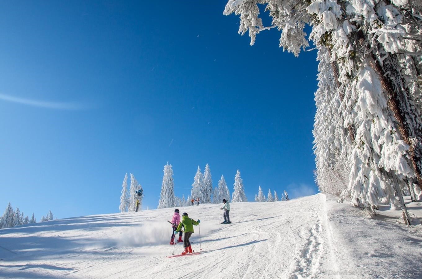 Skiareál Lipno nabízí skvělé lyžování, závody i Den s handicapem