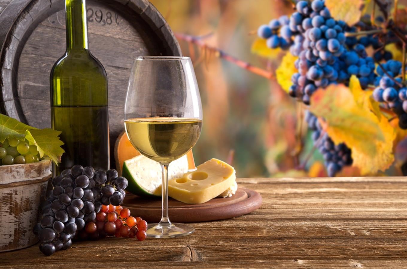 Vinohradské vinobraní 2021
