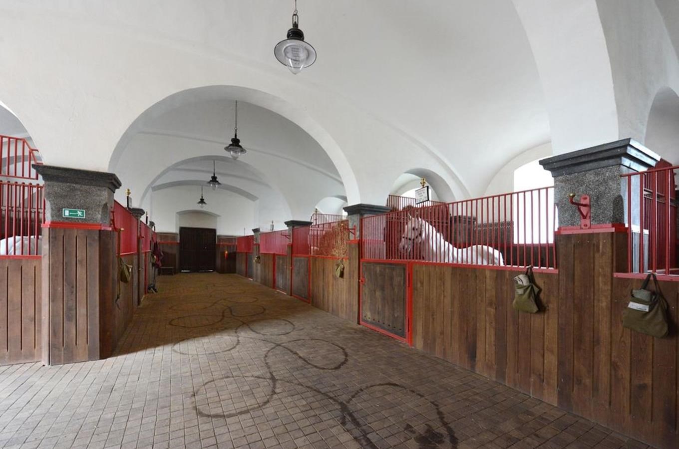 Kudy z nudy Národní hřebčín Kladruby nad Labem stáje a zámek v