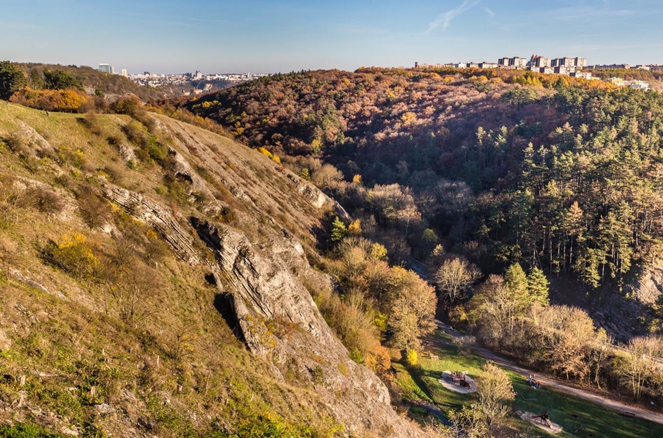 Přírodní rezervace Prokopské údolí - přírodní klenot Prahy
