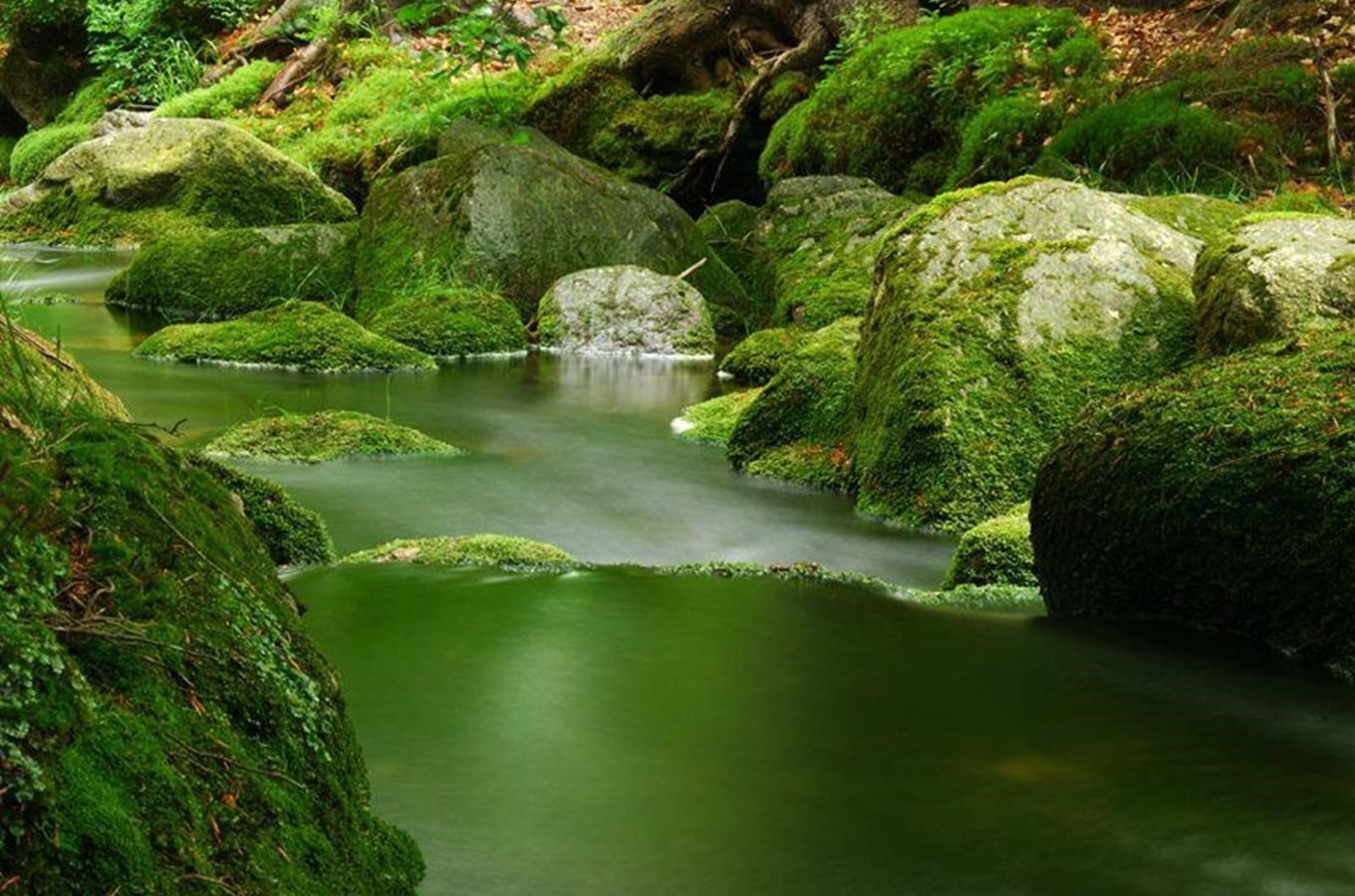 Řeka Kamenice - nejoblíbenější divoká voda v Česku