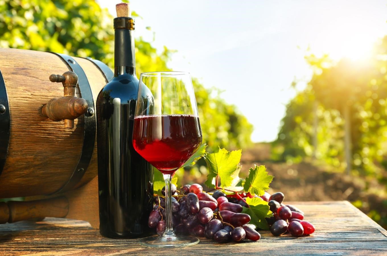 Putování Krajem vína vás zavede na vinařské stezky i k otevřeným sklepům