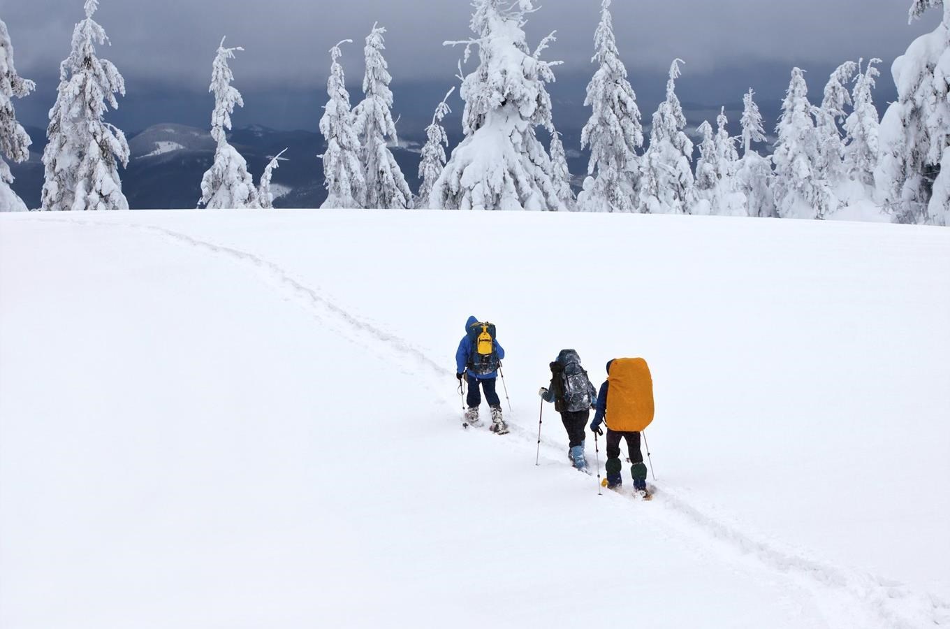 Objevte šumavskou přírodu na sněžnicích