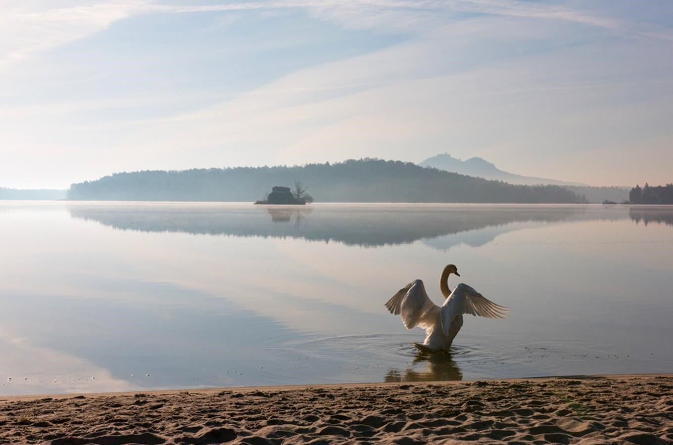 Máchovo jezero – romantika, slunce, vodní atrakce