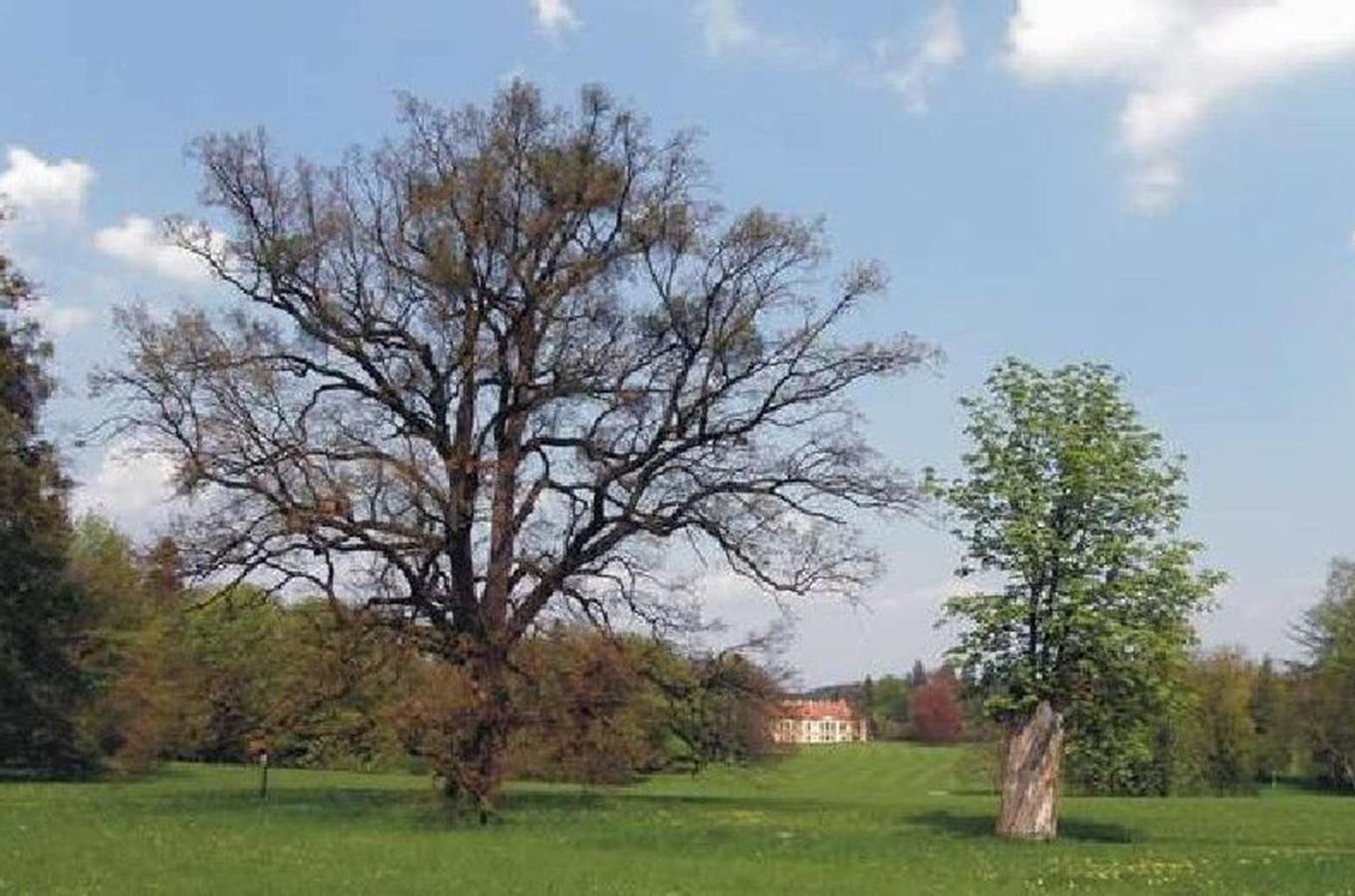 Heřmanův Měštec – zámek a rozlehlý lesopark