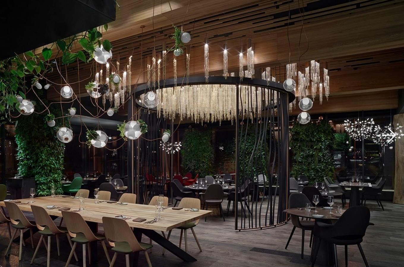 Kudy z nudy Restaurace Entrée Olomouc