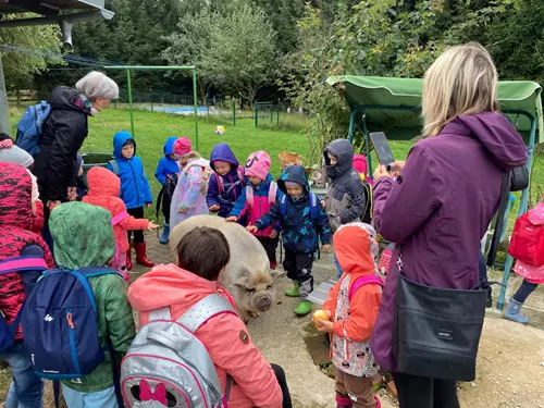 Farma Kapsa v Pošumaví – kontaktní zoopark