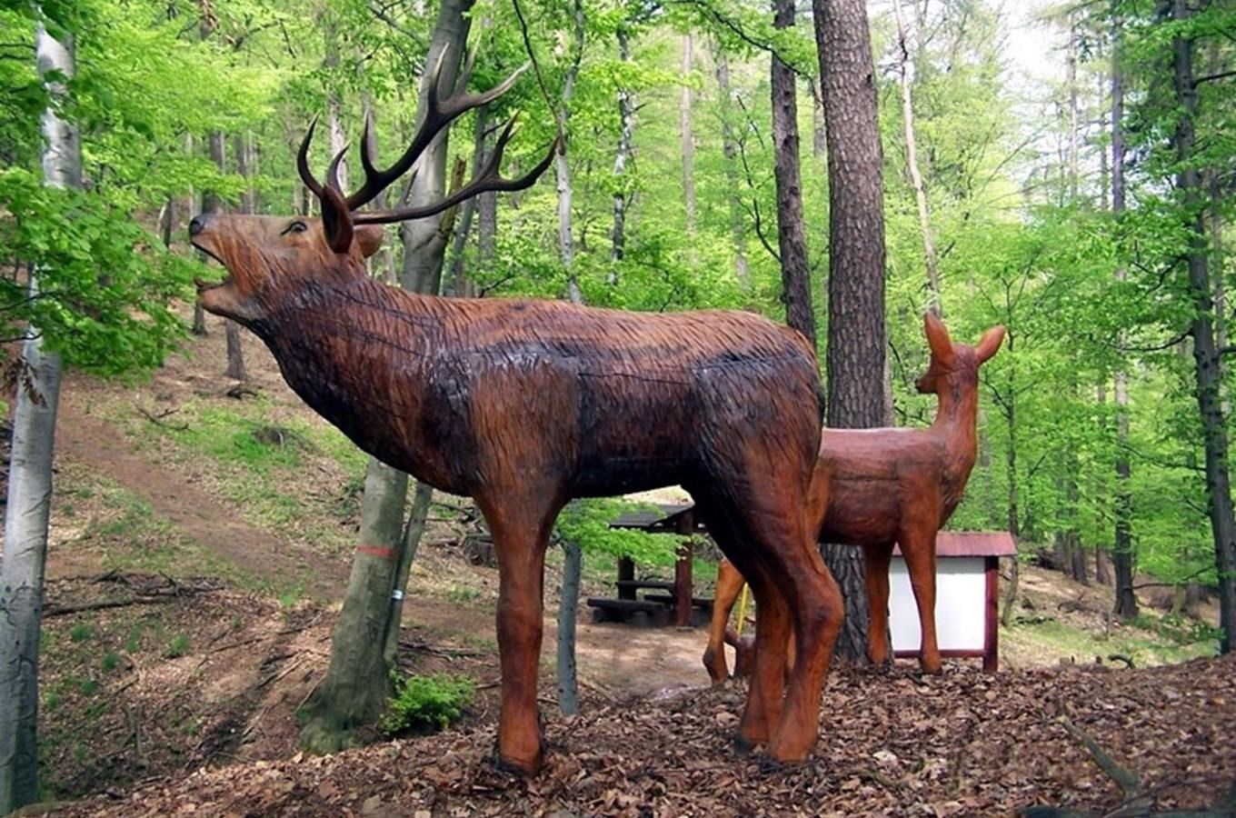 Muzeum lesnictví a myslivosti Chřibů v Buchlovicích 