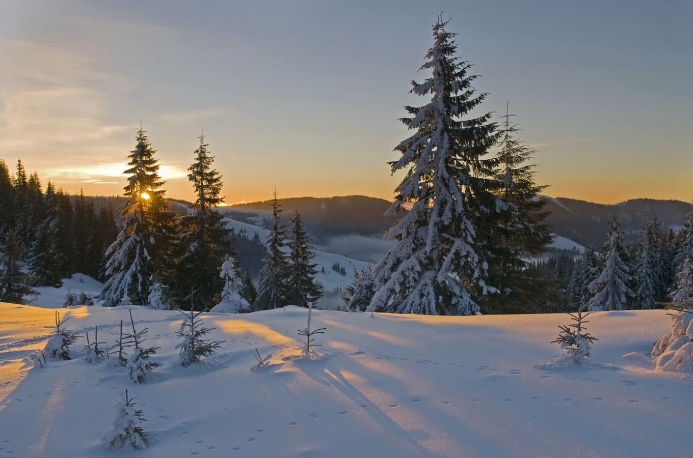 Kudy z nudy - Šumavou na sněžnicích - výlety přírodou se Správou NP Šumava