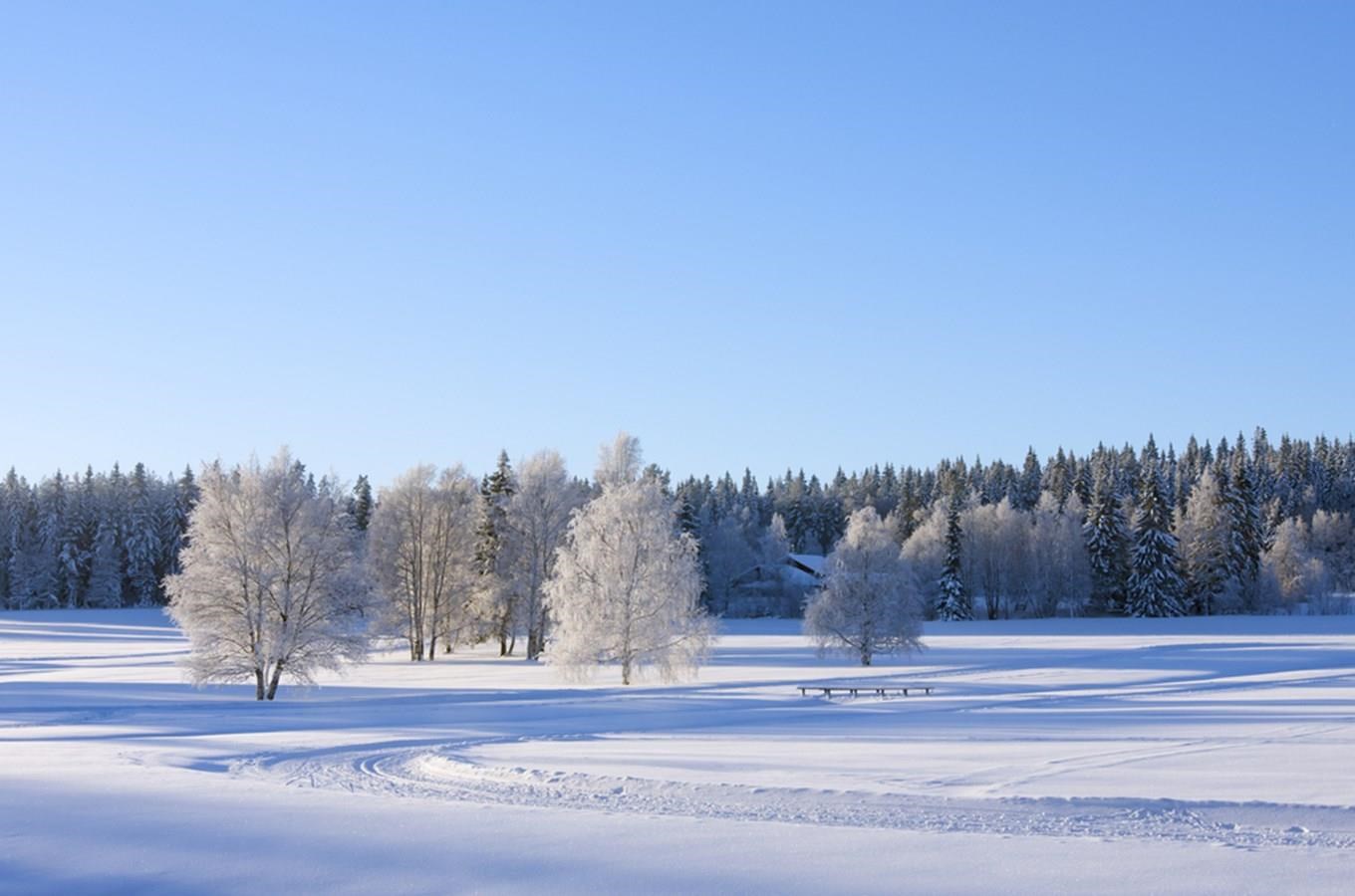 Karavanem od jara do zimy: Zimní Šluknovsko pěšky i na běžkách