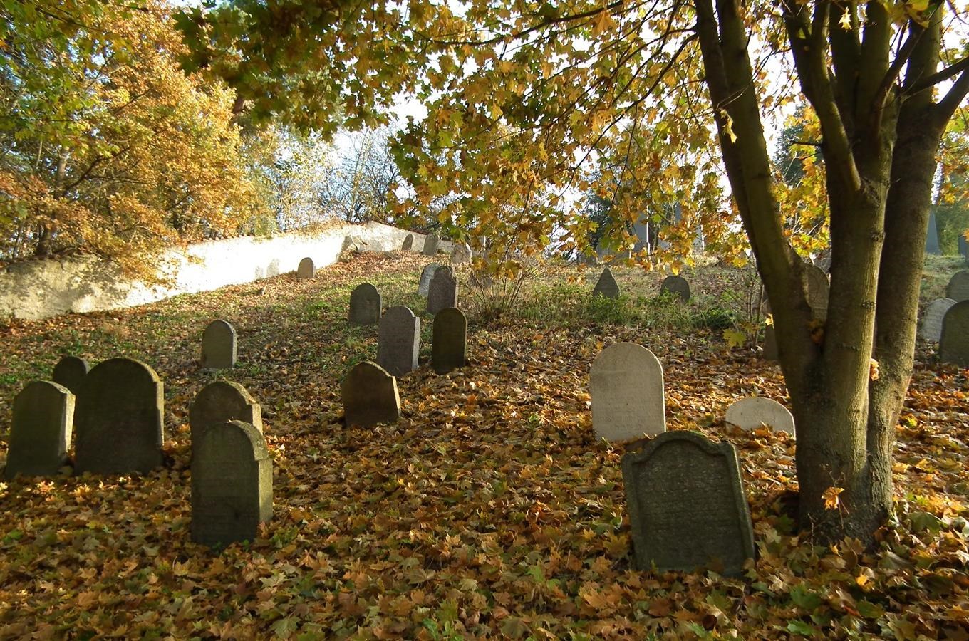 Židovské hřbitovy