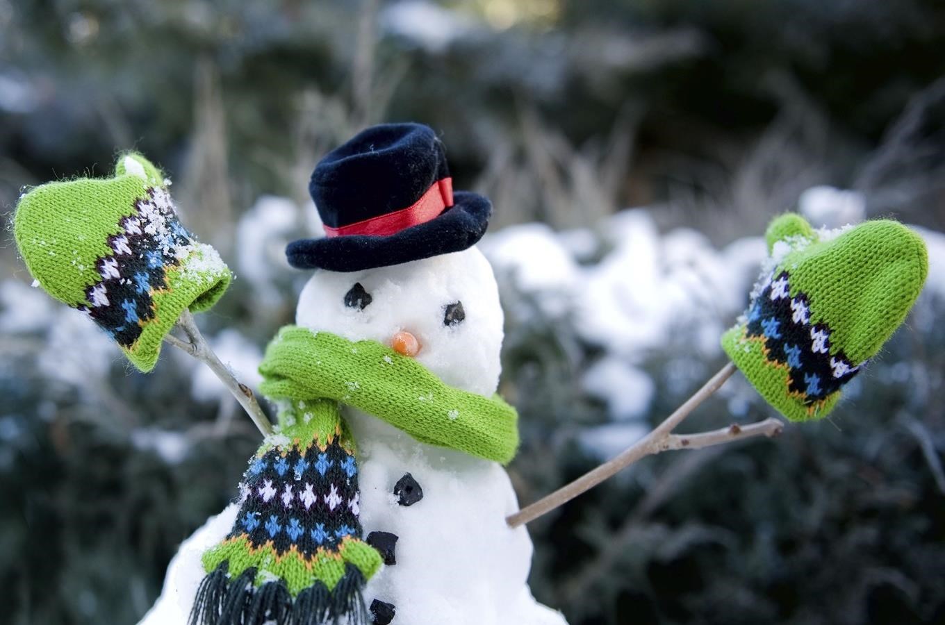 e8412feb-4c31-459c-a361-052dfa654567.jpg?v=20200827035544