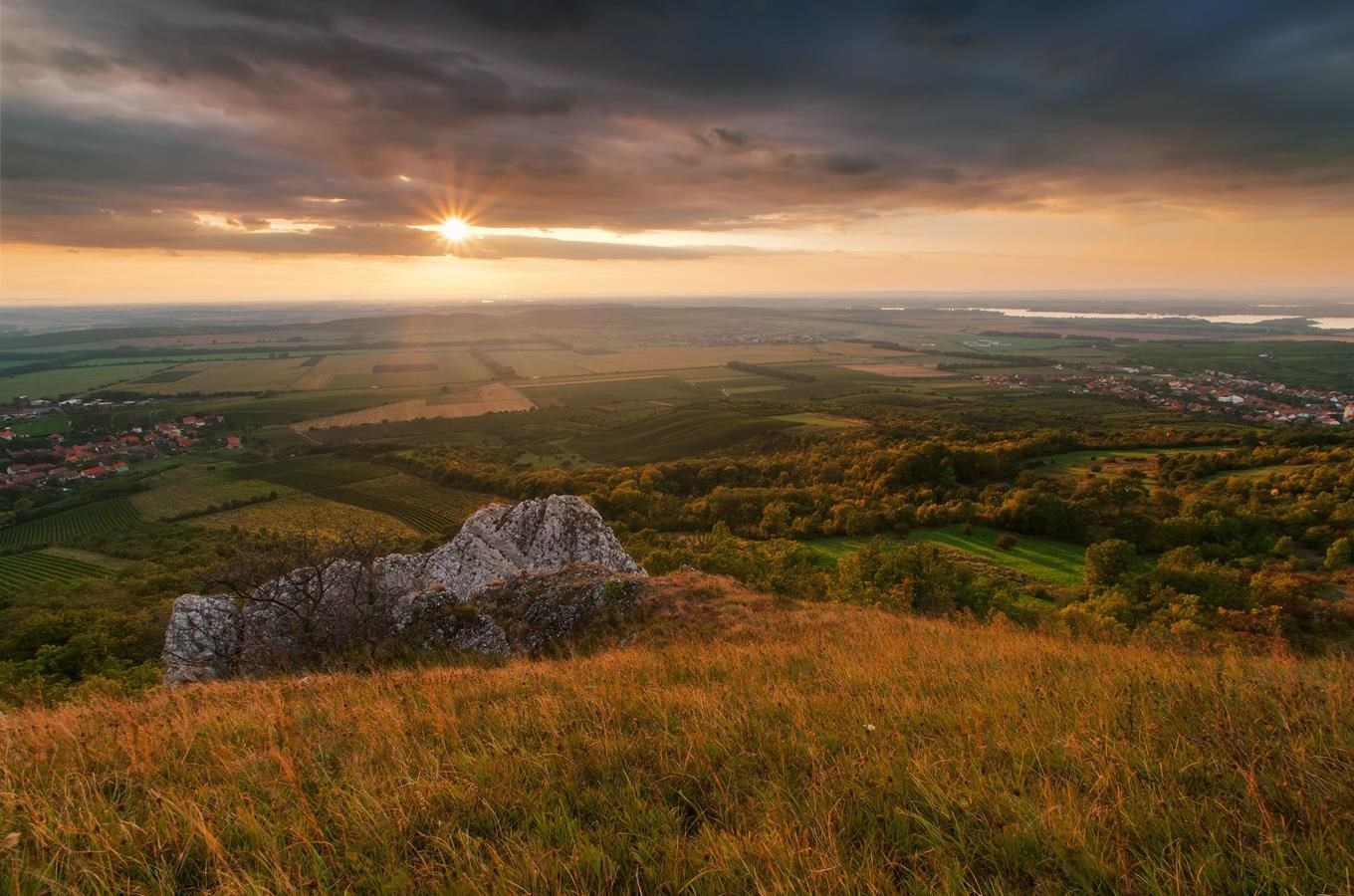 Stolová hora na Pálavě - nejbohatší lokalita šalvěje etiopské v Česku