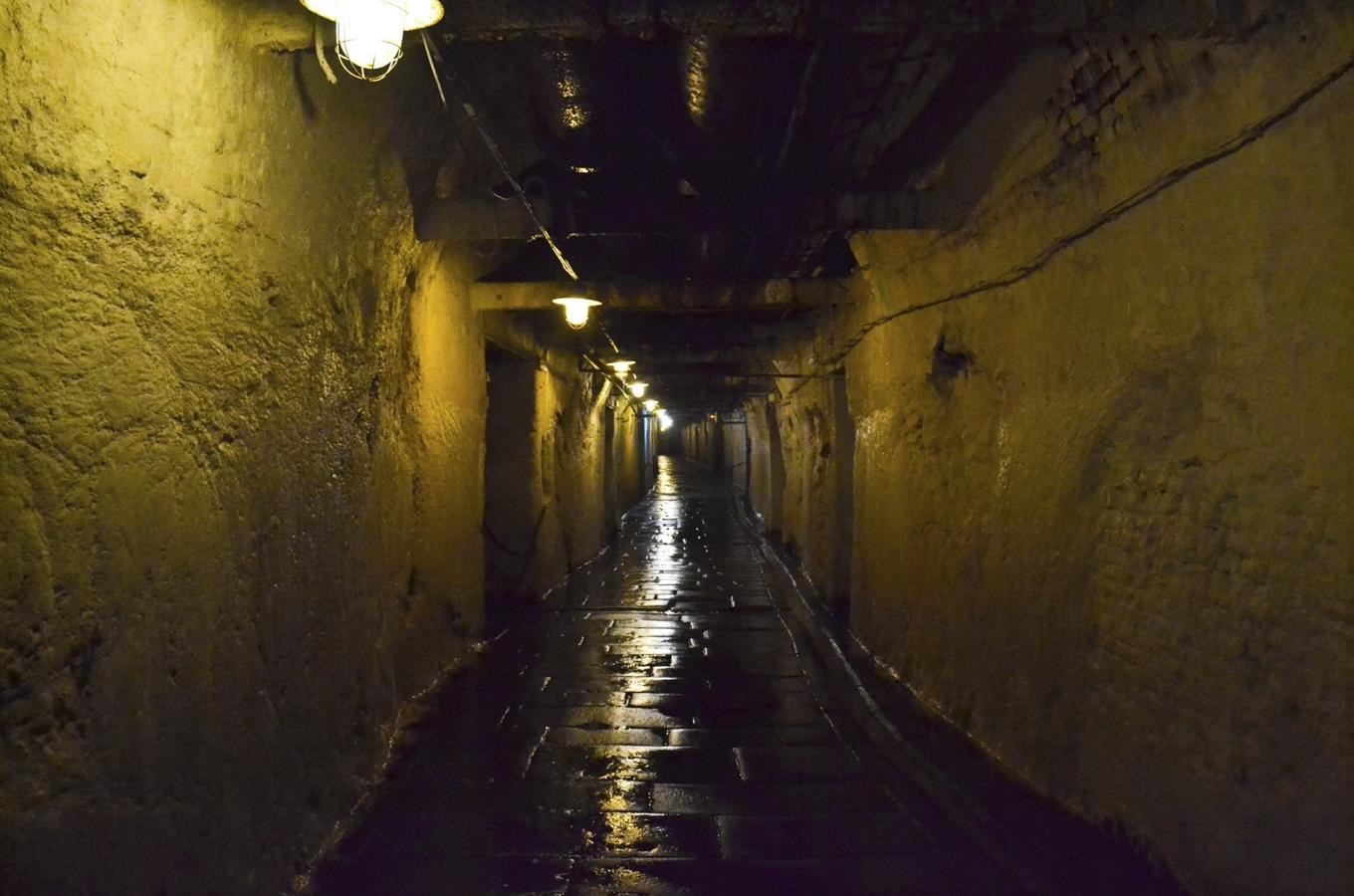 Plzeňské historické podzemí - poznejte život pod městem 