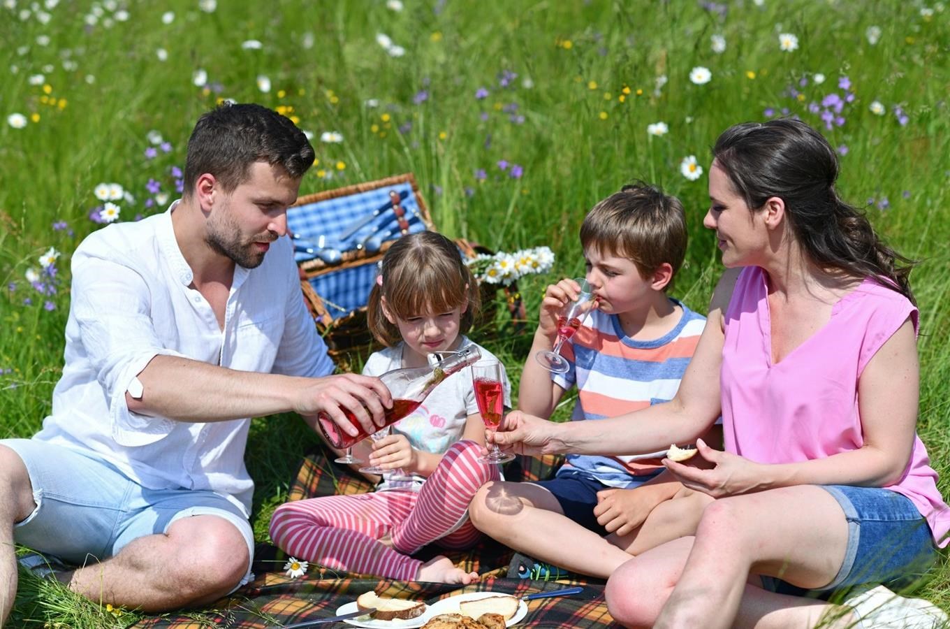 Pohádkový piknik či letní grilování na Dolní Moravě
